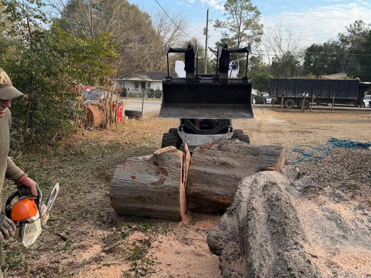 El Costeño Tree Service LLC